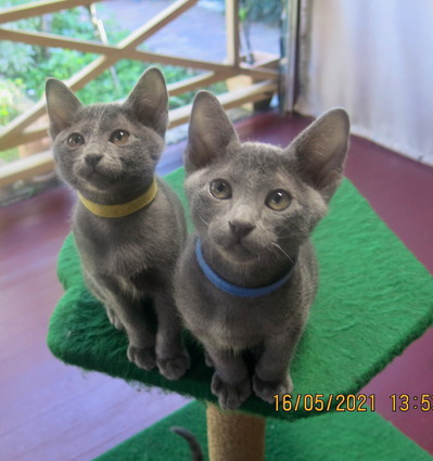 Olive and Byron